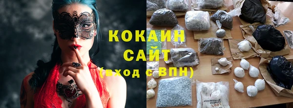 шишки Кукмор
