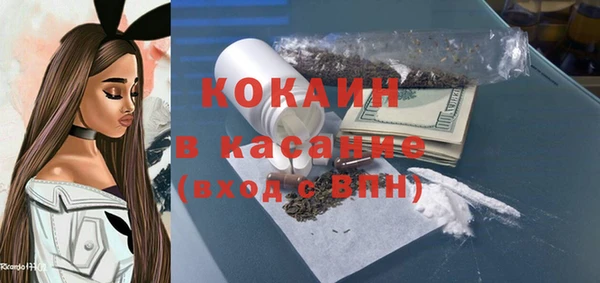 шишки Кукмор