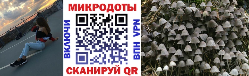 Галлюциногенные грибы Magic Shrooms  Купить  Нижний Новгород 